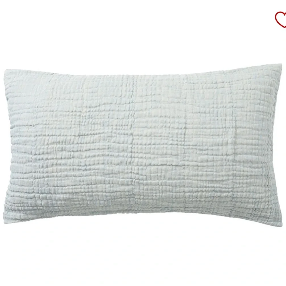 Pottery Barn Cloud King Sham in Chambray #1
